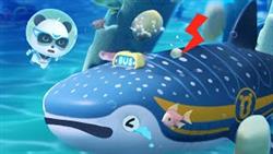 Emergency! Rescue Whale Shark Bus | Super Rescue Team | Educational Video | Kids Cartoon | BabyBus
