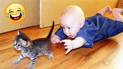       ?      / Funny Baby Playing With Cats