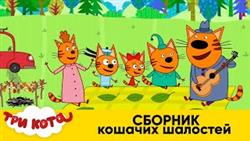 Три Кота | Сборник Кошачьих Шалостей | Мультфильмы для детей 2020
