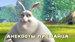 Анекдоты для детей про зайца_Такса- Бум!_28 выпуск
