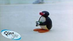 Best Episodes from Season 2 | Pingu - Official Channel | Cartoons For Kids