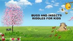 Childrens Riddles About Insects
