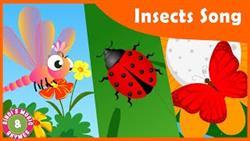 Childrens songs about insects