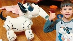 Денис и PupBo сделали приятный сюрприз маме! Silverlit Игрушки для детей. Playtime kids | DenLion
