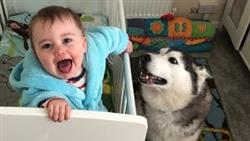 FUNNY VIDEO|| Смешные Дети Истерически Смеются Над Сборником Собак
