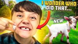 Got New Goats  then Shawns TOOTH got PULLED out! ????  (FV Family Farm Vlog)