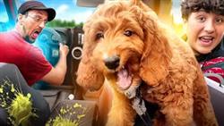 Never take a NEW Puppy Off-roading in a JEEP = BAD IDEA! (FV Family Vlog)