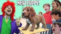 Our NEW Puppys 1st Day of School! FV Family Golden Doodle Surprise (Yes, another Dog!)