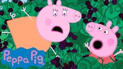 Peppa Pig Goes Berry Picking ???? Peppa Pig Official Channel Family Kids Cartoons