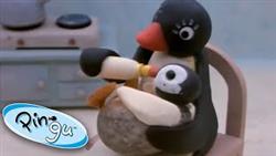 Pinga As A Baby! @Pingu - Official Channel Cartoons For Kids
