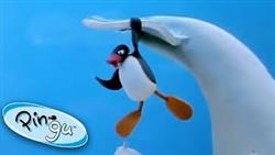 Pingu And The Giant Ice Whale! @Pingu - Official Channel Cartoons For Kids
