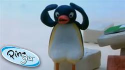 Pingu at School   Pingu Official Channel