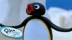 Pingus Mix Up!  Pingu Official Channel
