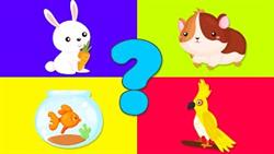 ПИТОМЦЫ - ВИКТОРИНА! Развивающие мультики про животных для детей
