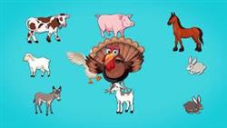 ??????Развивающий мультфильм для детей. Повышаем словарный запас. Животные на ферме.  For kids (0+)
