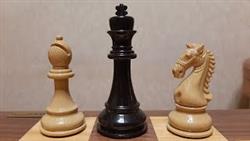Шахматы. Сказочная атака на рокировку. Знать правильные ходы в шахматах.
