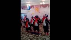 Танец пингвинов
